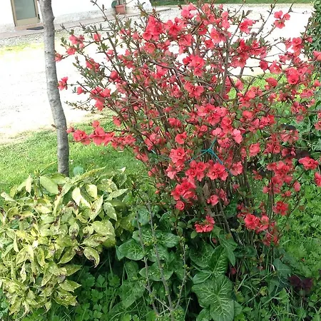 Agriturismo Loghino Caselle-3